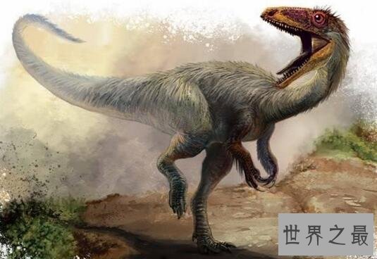 【图】世界上最小的恐龙，美颌龙最长都只要1米