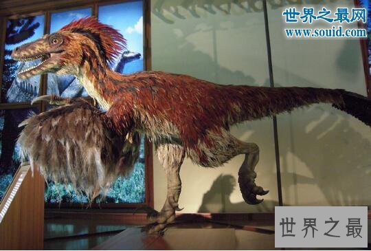 【图】关于恐龙的10个世界之最，最大的恐龙长80米