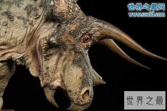 【图】关于恐龙的10个世界之最，最大的恐龙长80米