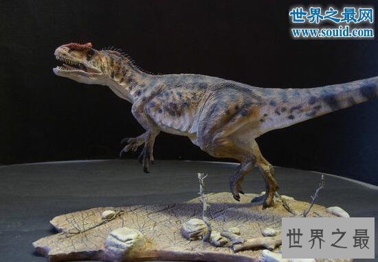 【图】关于恐龙的10个世界之最，最大的恐龙长80米