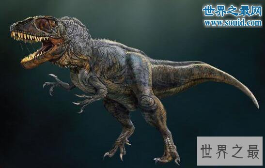【图】关于恐龙的10个世界之最，最大的恐龙长80米