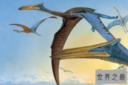 【图】史上最大的飞行动物，风神翼龙能够捕杀霸王龙