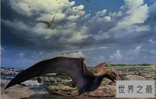 【图】史上最大的飞举动物，风神翼龙可以捕杀霸王龙