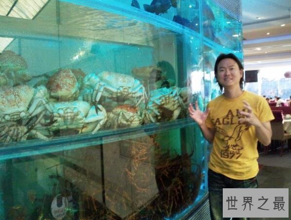 【图】世界上最重的螃蟹，皇帝蟹重达72斤(相当于成年