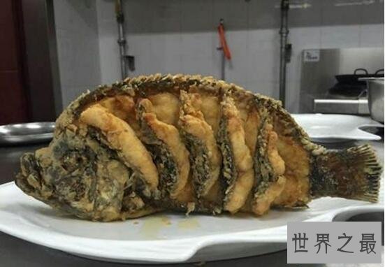 【图】世界上最大的珊瑚鱼类，2米苏眉鱼重400斤却很好