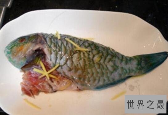 【图】世界上最大的珊瑚鱼类，2米苏眉鱼重400斤却很好