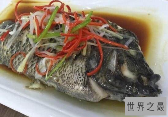 【图】世界上最大的珊瑚鱼类，2米苏眉鱼重400斤却很好