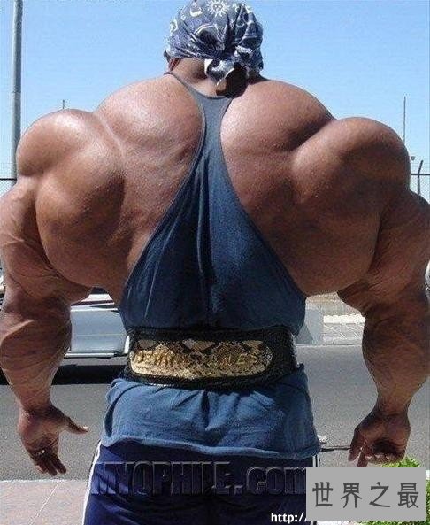 【图】世界上最强健的人，史上最强肌肉男(胸比头大