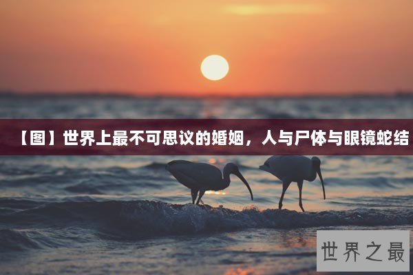 【图】世界上最不可思议的婚姻，人与尸体与眼镜蛇结