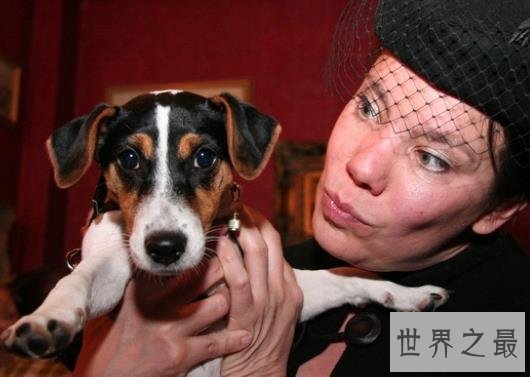 【图】世界上最不可思议的婚姻，人与尸体与眼镜蛇结