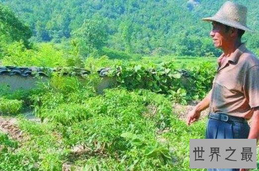 【图】天下第一懒人杨锁，因不肯本人吃饭而饿死在家