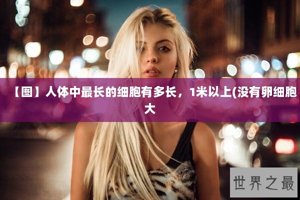 【图】人体中最长的细胞有多长，1米以上(没有卵细胞大