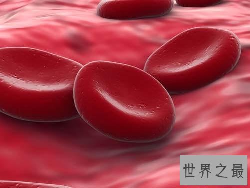 【图】人体中最长的细胞有多长，1米以上(没有卵细胞大