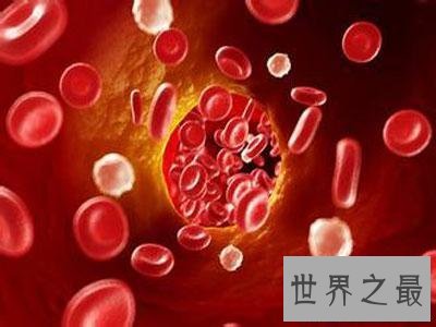 【图】人体中最长的细胞有多长，1米以上(没有卵细胞大