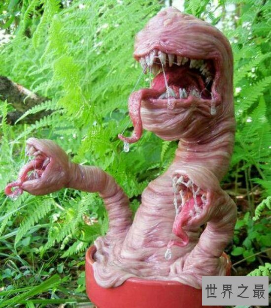 【图】世界上最恐惧的花 食人花(乘你不留意一口吞下