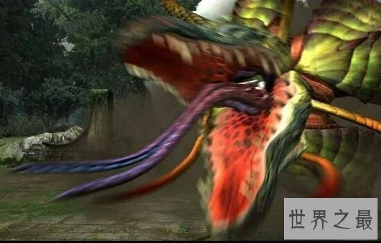 【图】世界上最恐惧的花 食人花(乘你不留意一口吞下