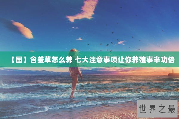 【图】含羞草怎么养 七大注意事项让你养殖事半功倍