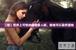 【图】世界上可怕的植物食人柳，柳枝可以勒死猎物