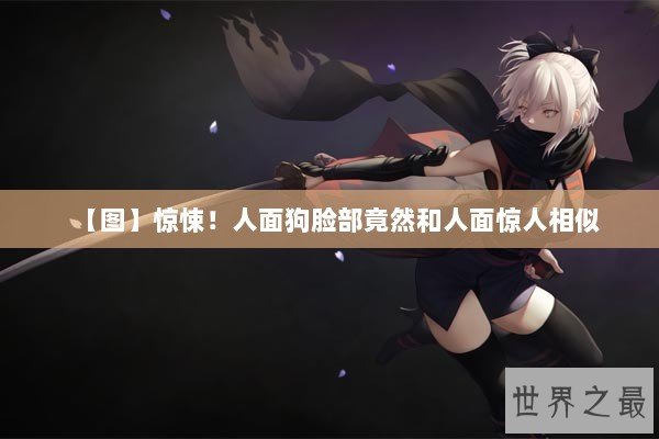 【图】惊悚！人面狗脸部竟然和人面惊人相似