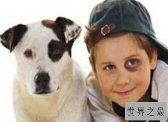 【图】惊悚！人面狗脸部竟然和人面惊人相似