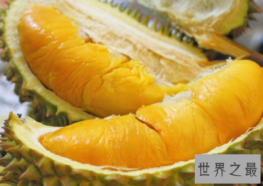 【图】榴莲的效用与作用，挽救痛经到打滚的你(还有滋