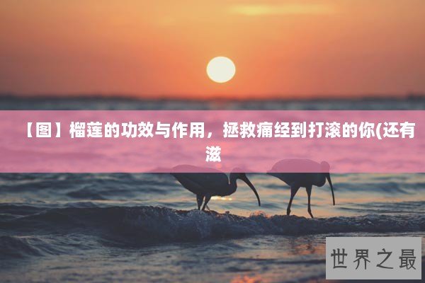【图】榴莲的功效与作用，拯救痛经到打滚的你(还有滋