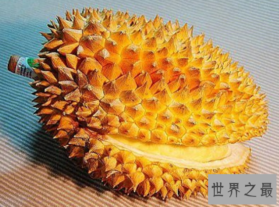 【图】榴莲的效用与作用，挽救痛经到打滚的你(还有滋