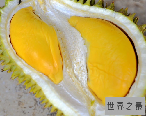 【图】榴莲的效用与作用，挽救痛经到打滚的你(还有滋