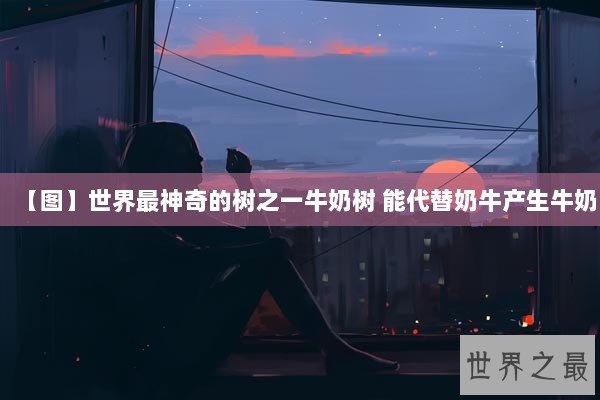 【图】世界最神奇的树之一牛奶树 能代替奶牛产生牛奶