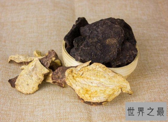 【图】长相奇葩的何首乌图片看这里哦！它是一种珍贵