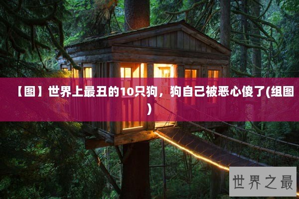 【图】世界上最丑的10只狗，狗自己被恶心傻了(组图)