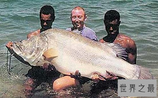 【图】世界十大最厉害咸水鱼，清点那些吃人的恐惧鱼