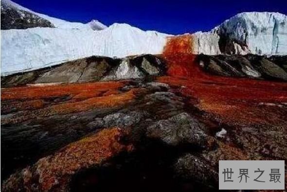 世界上最恐惧的瀑布 南极血瀑布