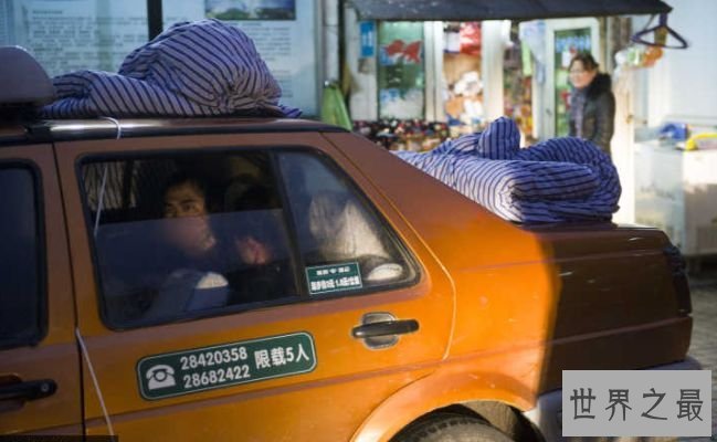 世界上最难治的传染病 几乎必死的狂犬病 别让你的宠物成为杀人凶手