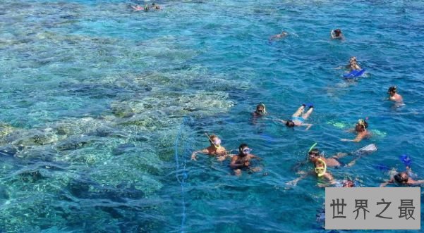 世界下水温最高的大海 奥秘的陆地也有暖和的一面