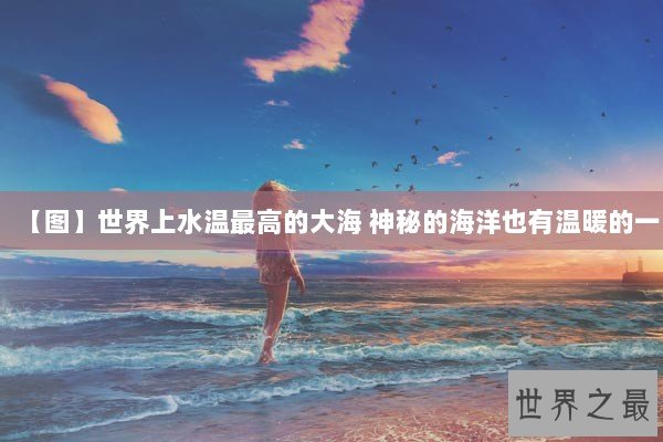【图】世界上水温最高的大海 神秘的海洋也有温暖的一