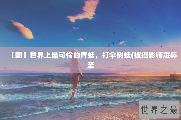 【图】世界上最可怜的青蛙，打伞树蛙(被摄影师凌辱至