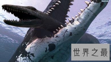 【图】史上最凶残的史前巨兽，龙王鲸vs巨齿鲨(谁更强