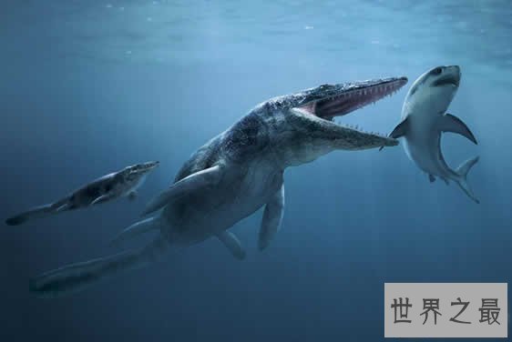 【图】史上最凶残的史前巨兽，龙王鲸vs巨齿鲨(谁更强
