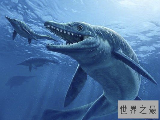 【图】史上最凶残的史前巨兽，龙王鲸vs巨齿鲨(谁更强