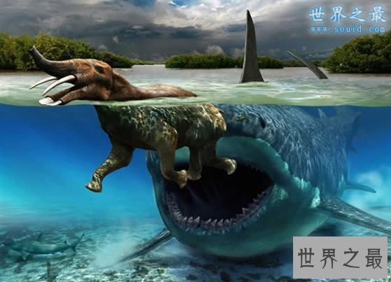 【图】史上最凶残的史前巨兽，龙王鲸vs巨齿鲨(谁更强