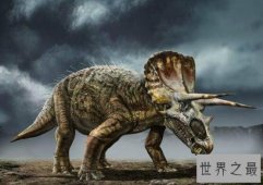 【图】地球最强的食草恐龙，三角龙(霸王龙也需退避三