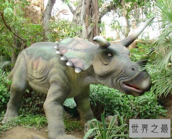 【图】地球最强的食草恐龙，三角龙(霸王龙也需退却三