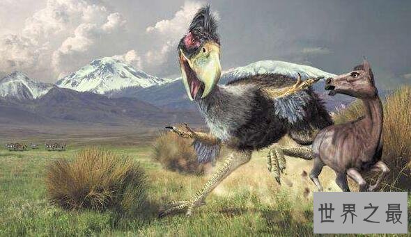【图】世界上最强大的鸟，恐惧鸟(明明就是一头恐龙