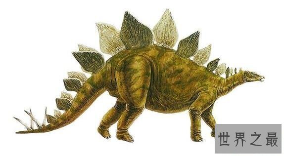 【图】世界上脑最小的恐龙剑龙，脑重70克(两个鸡蛋都