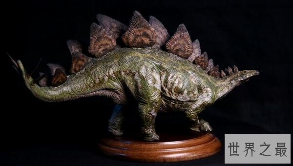 【图】世界上脑最小的恐龙剑龙，脑重70克(两个鸡蛋都