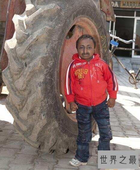 【图】世界上最小的健言教练，80cm的个头身体却超完美