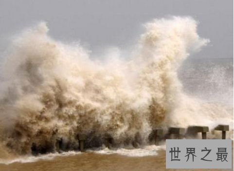 钱塘潮的构成缘由：