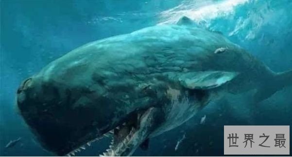 世界上最深的海沟 万米之下奇幻的海底世界 世界上最深的海沟 万米之下奇幻的海底世界