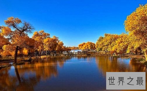 中国最长的内流河—塔里木河